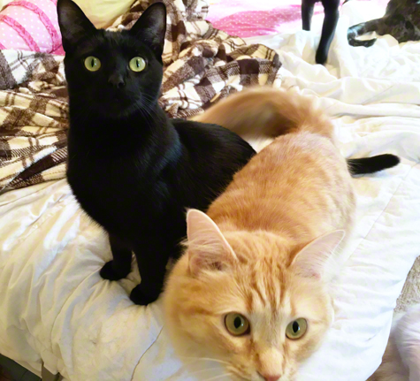 Jelly and Winnie Better R Olson copy.jpg Jelly and Winnie Better R Olson copy